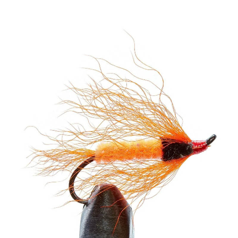 2 Stück Wadenschwanz-Fliegenbi – Fishing Lure Topwater Bewertung und Preis